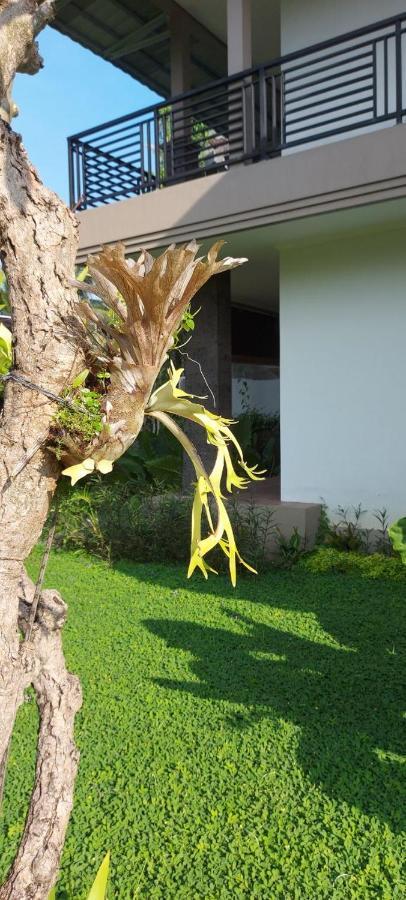 Indraprastha Cottage Ubud Kültér fotó